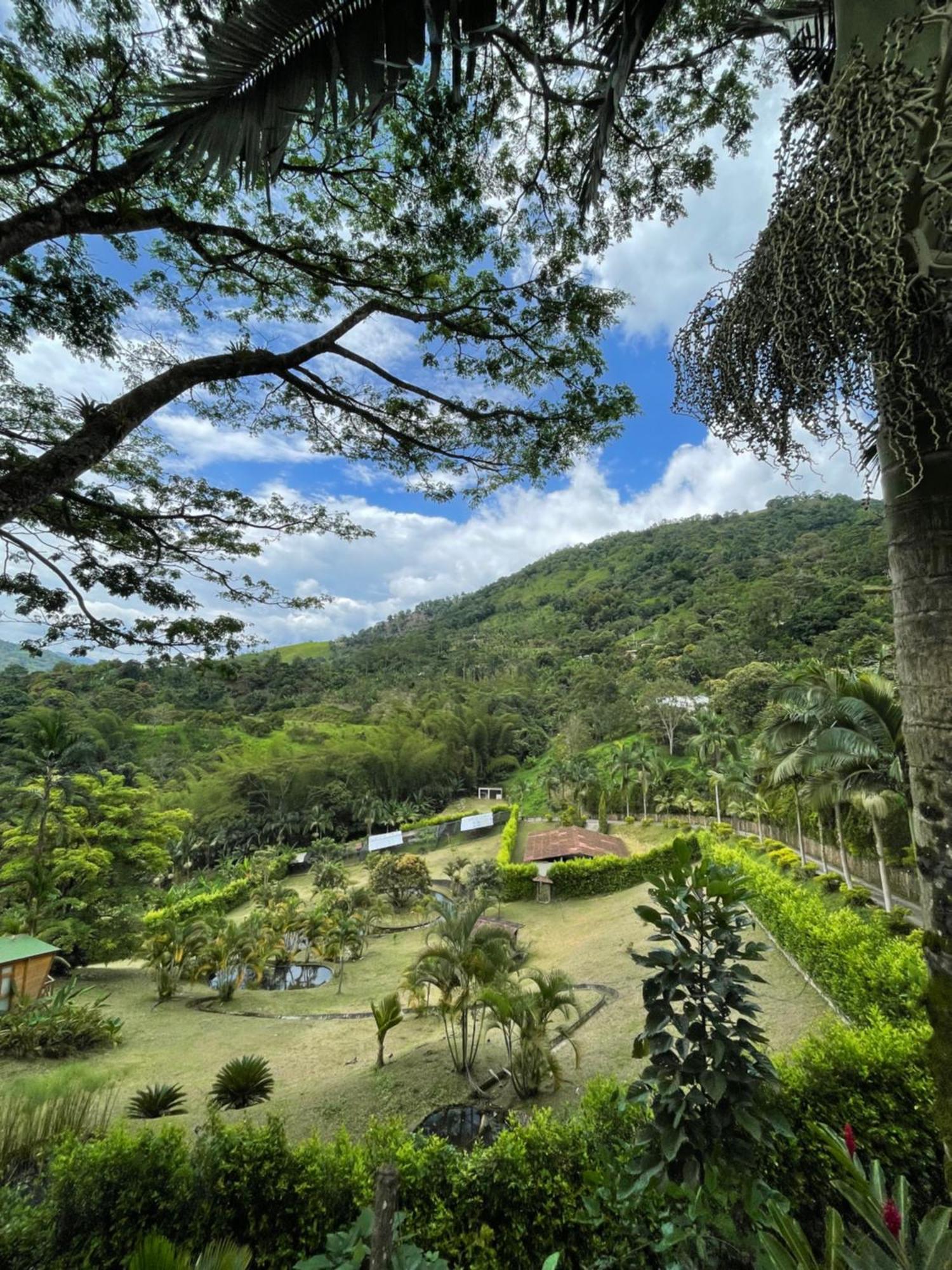Home Boutique Natural Paradise La Vega  Buitenkant foto