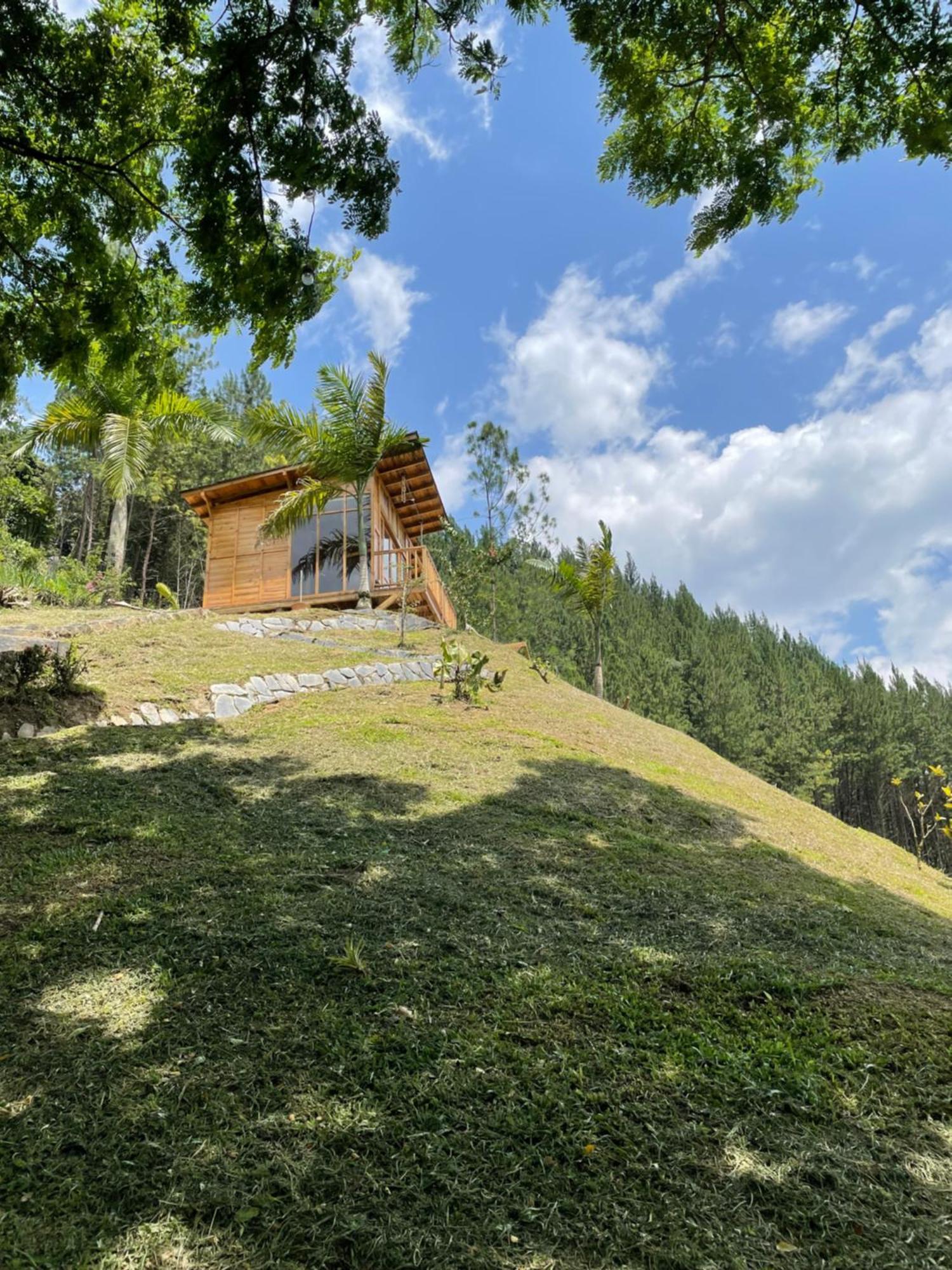 Home Boutique Natural Paradise La Vega  Buitenkant foto