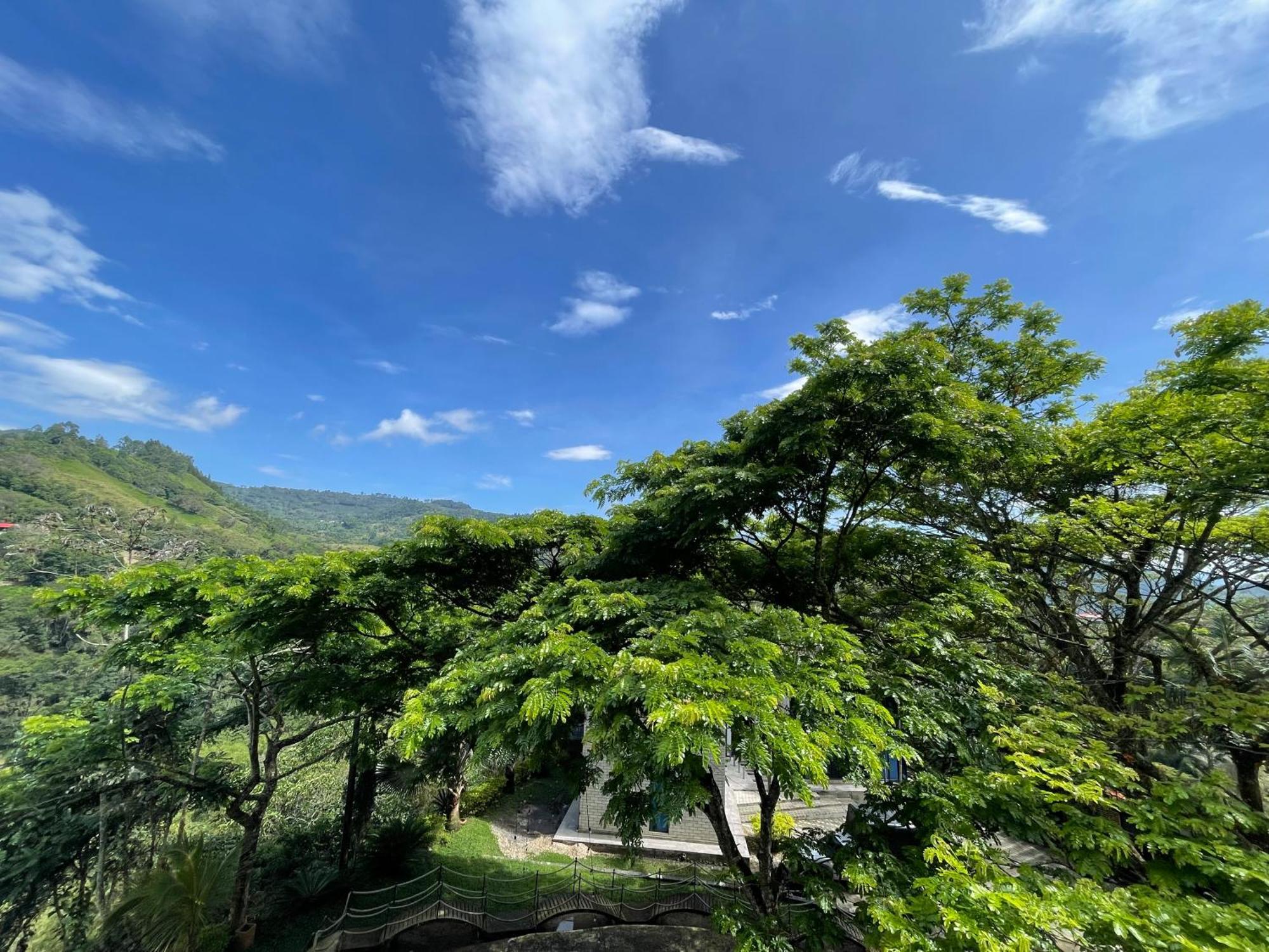Home Boutique Natural Paradise La Vega  Buitenkant foto
