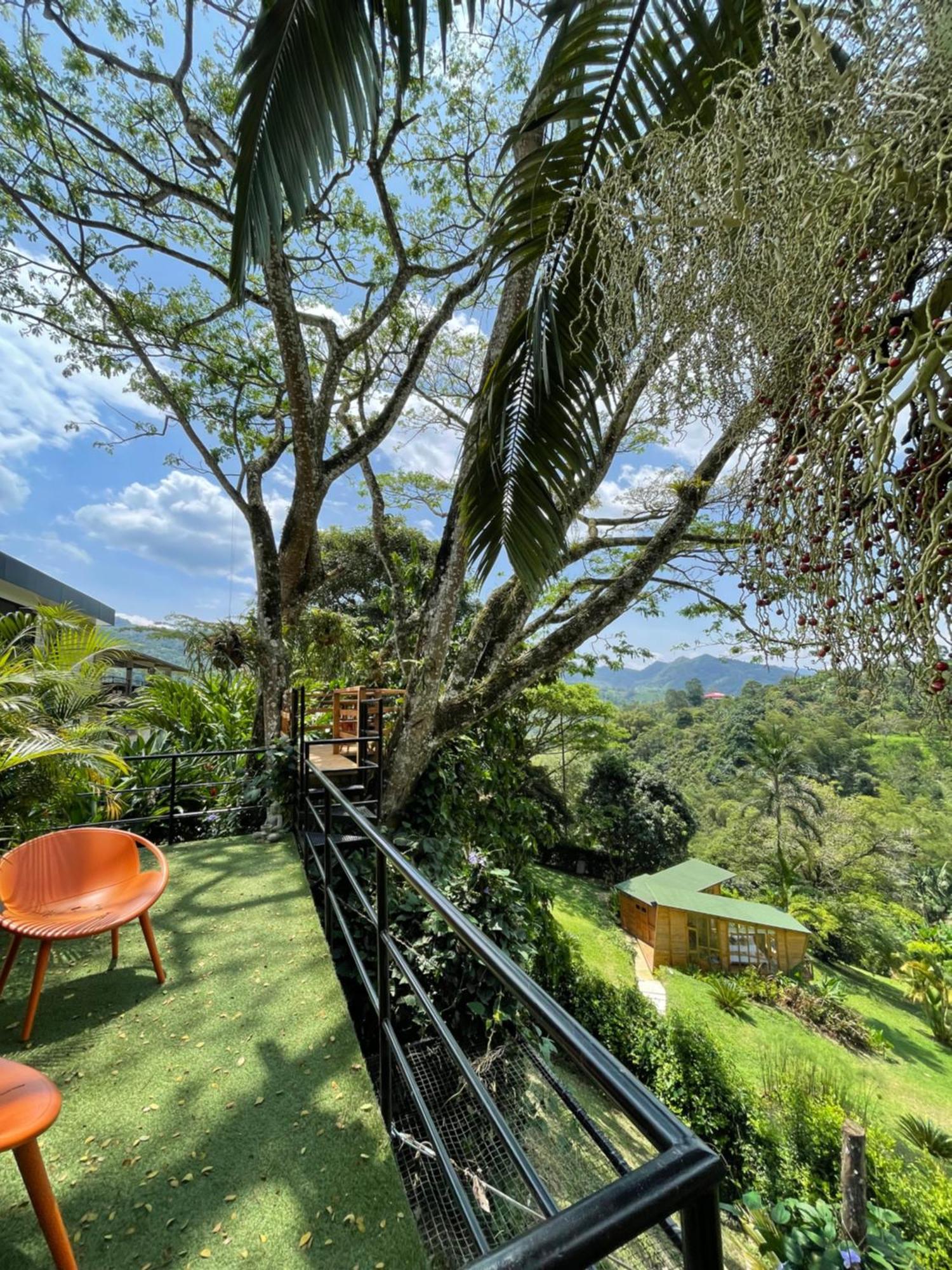 Home Boutique Natural Paradise La Vega  Buitenkant foto